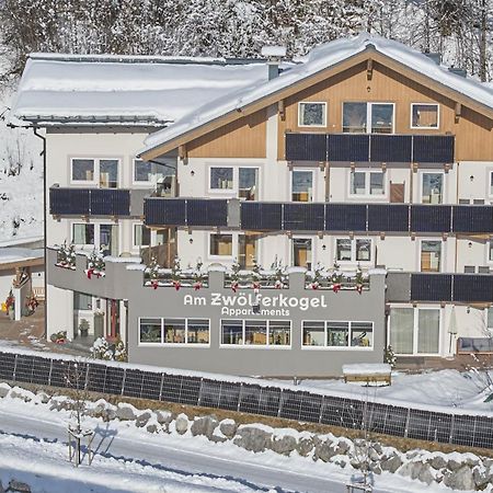 Am Zwoelferkogel Appartements Saalbach-Hinterglemm Kültér fotó