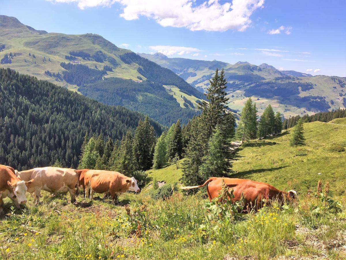 Am Zwoelferkogel Appartements Saalbach-Hinterglemm Kültér fotó