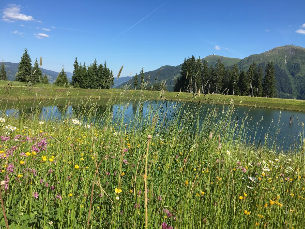 Am Zwoelferkogel Appartements Saalbach-Hinterglemm Kültér fotó