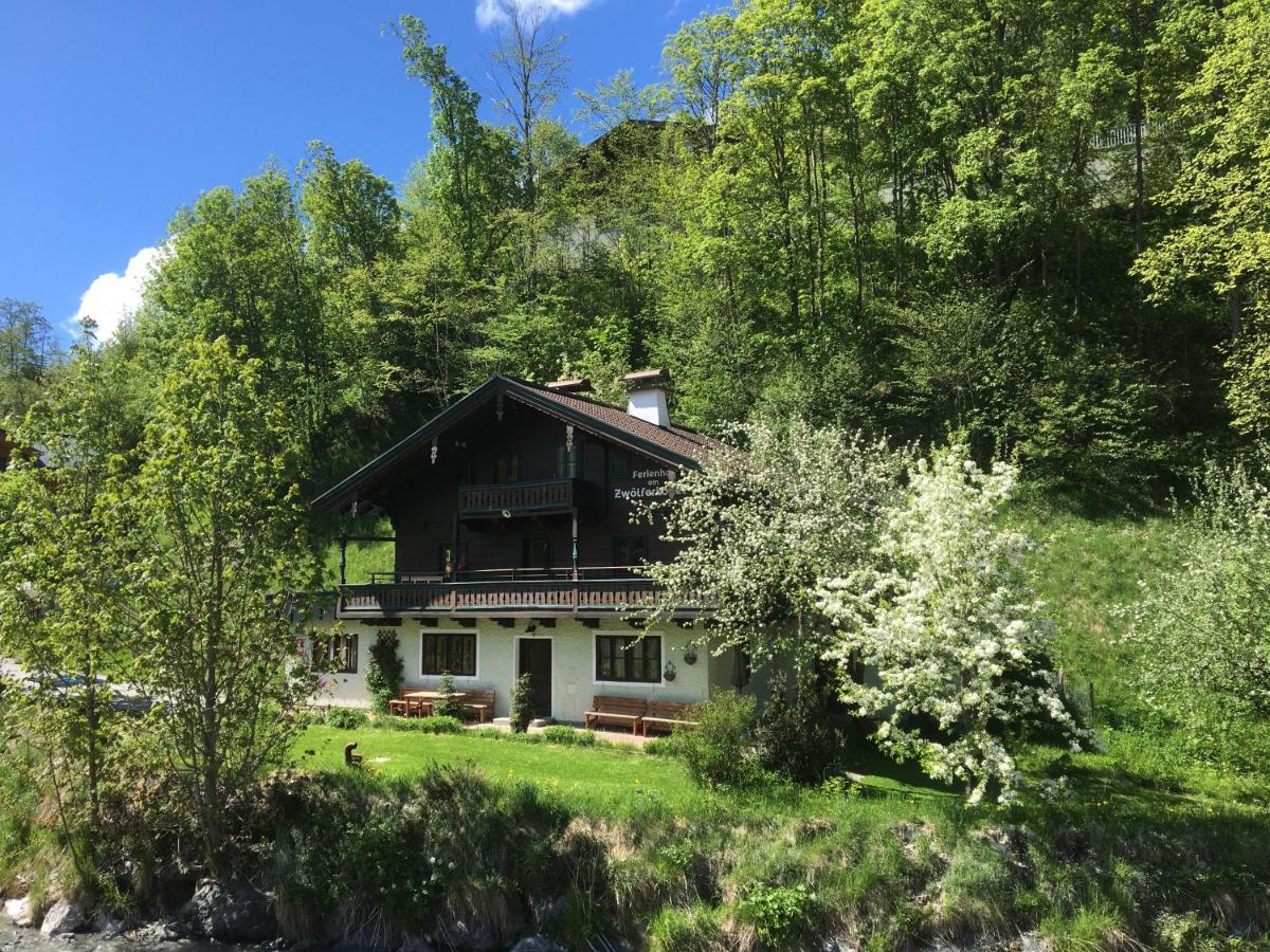 Am Zwoelferkogel Appartements Saalbach-Hinterglemm Kültér fotó